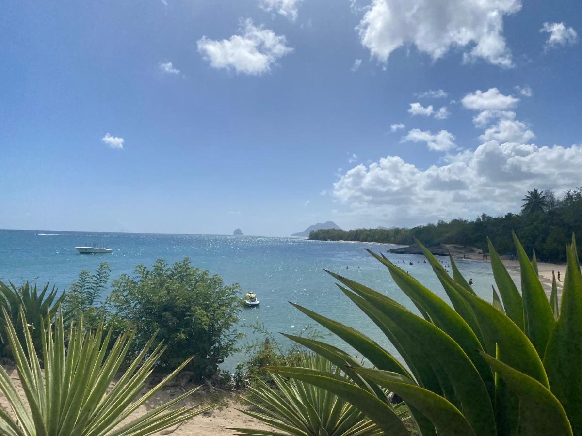 סנט-לוס Studio Rdc La Desirade Martinique Acces Direct Plage מראה חיצוני תמונה